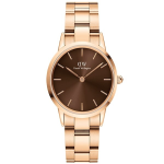 ساعت مچی زنانه DANIEL WELLINGTON DW00100462
