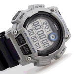 ساعت مچی اسپرت مدل CASIO WS-2100H-1A2VDF