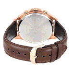 CASIO EFV-650CL-5AVUDF