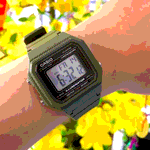 ساعت مچی اسپرت کاسیو مدل CASIO W-217H-3AVDF