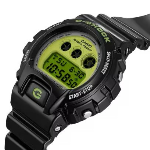 DW-6900RCS-1